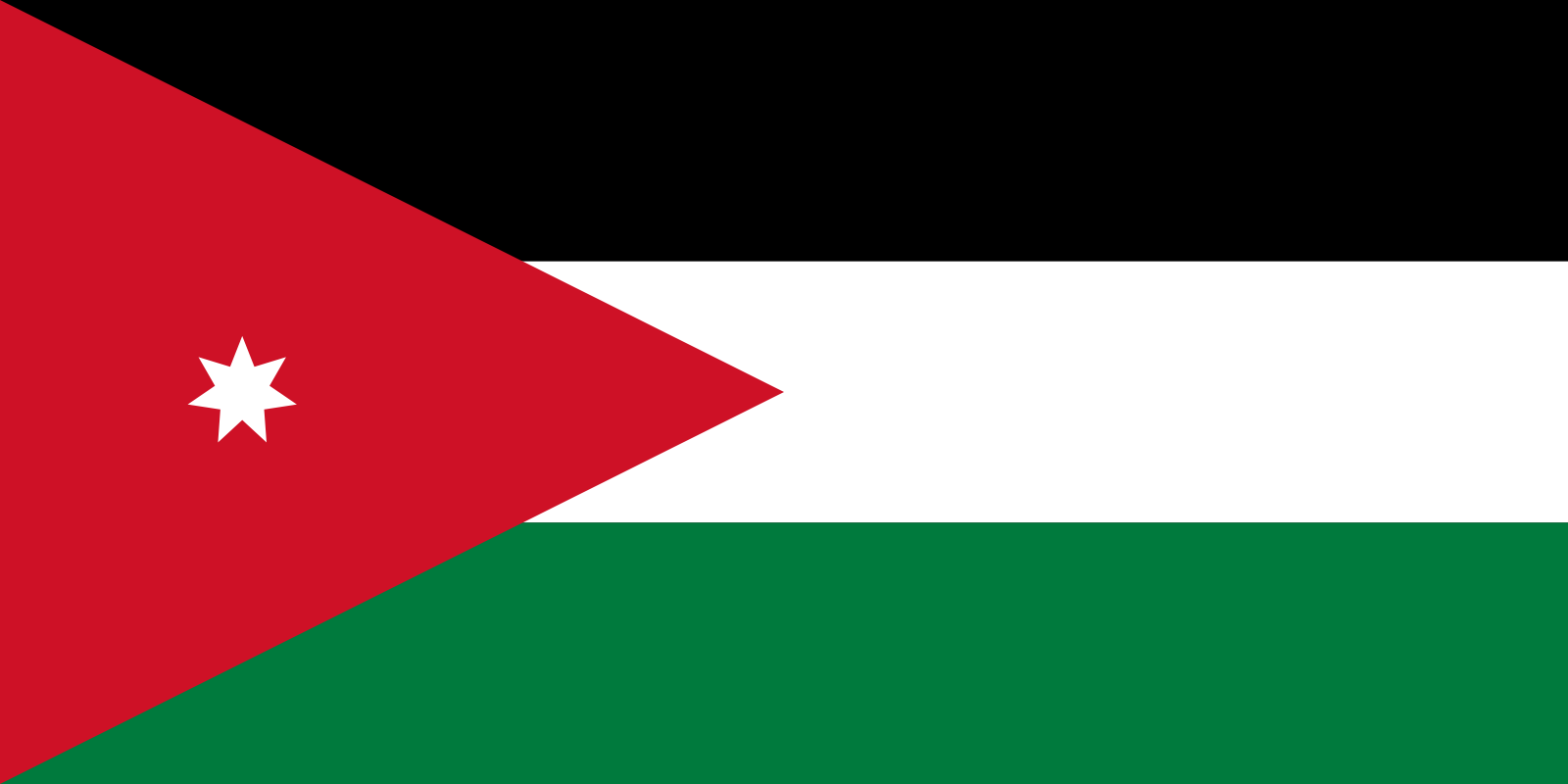 UAE Flag